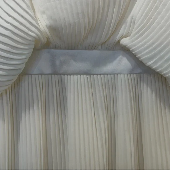 NWT ANAYA Off-White Pleated Gown - Picture 4 of 5